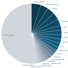 pie chart