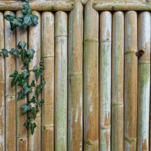 bamboo panel