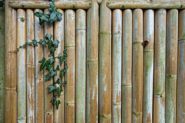 bamboo panel